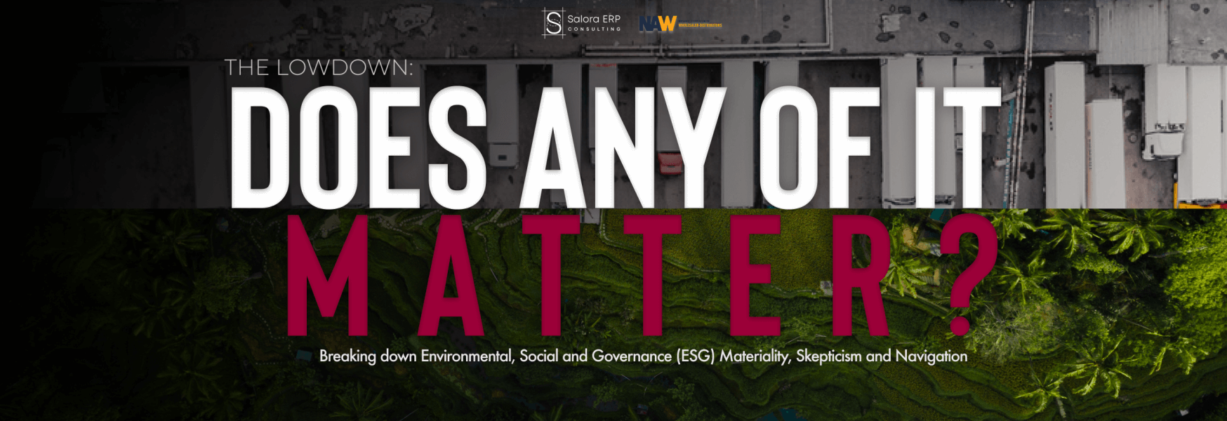 Breaking down ESG Materiality, Skepticism, and Relevance.