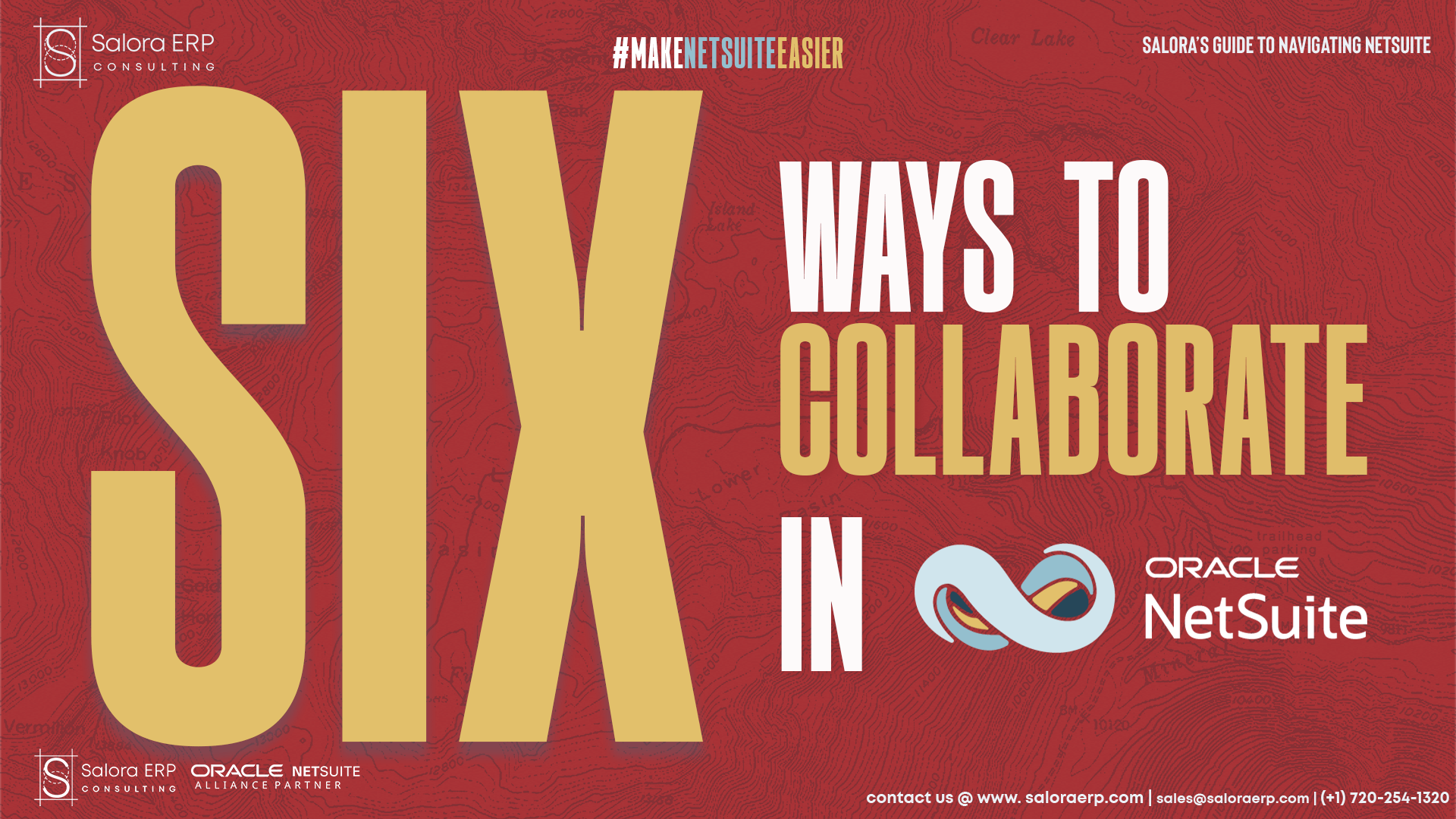 Six Ways to Collaborate in Oracle NetSuite